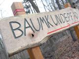 Neuer Baumkundepfad am Hohenstein