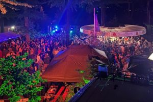 Ausgelassene Stimmung herrschte an den Abenden, als die Besucher zur Musik von DJ Drop tanzten. Foto: Löscheinheit Hölzer