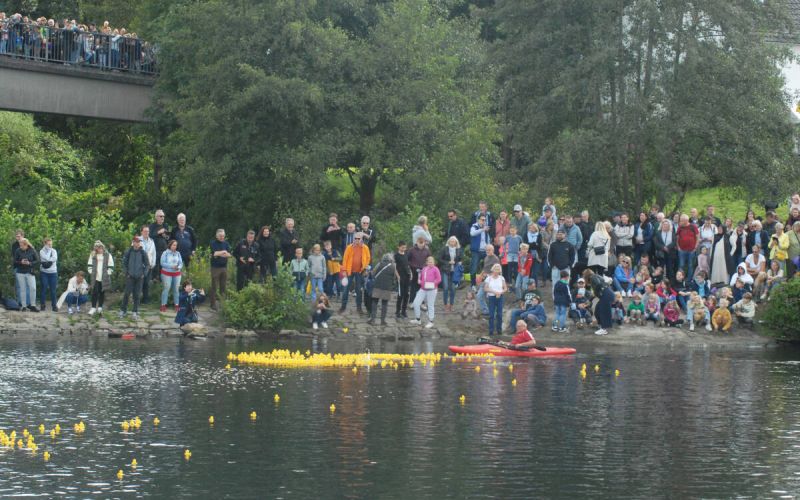 Die Enten wollten nicht schwimmen