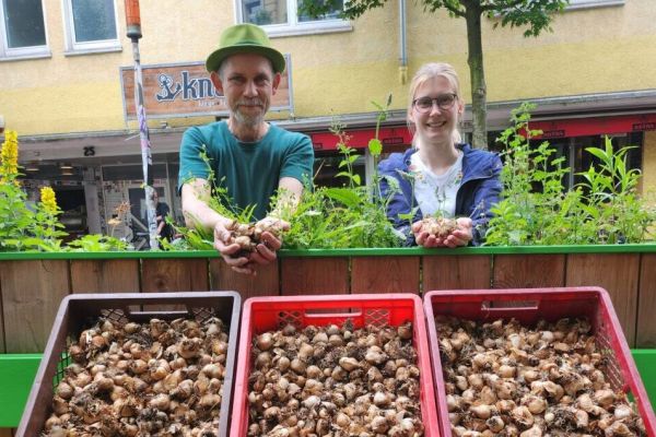 5.000 Blumenzwiebeln für Witten