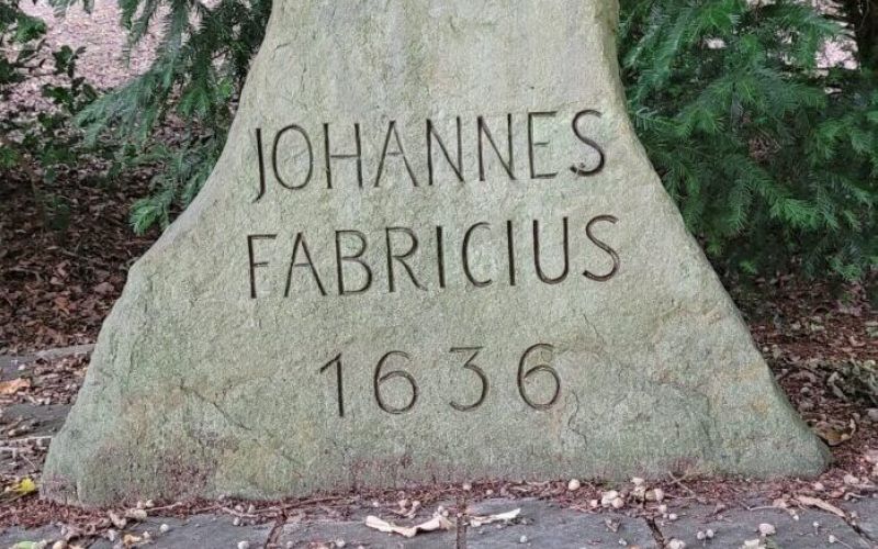 Der Fabricius-Stein