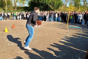 Ein eigenes Pferd ist Goldes Wert – zur Not tut‘s aber auch eine Attrappe.
Foto: Schule