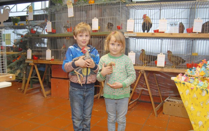 Rassegeflügelzuchtverein Herbede hat ausgestellt