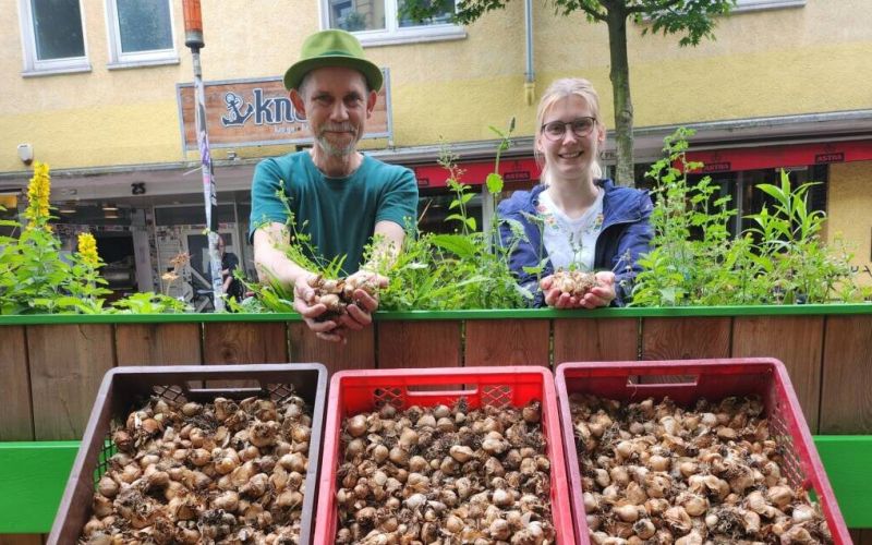 5.000 Blumenzwiebeln für Witten