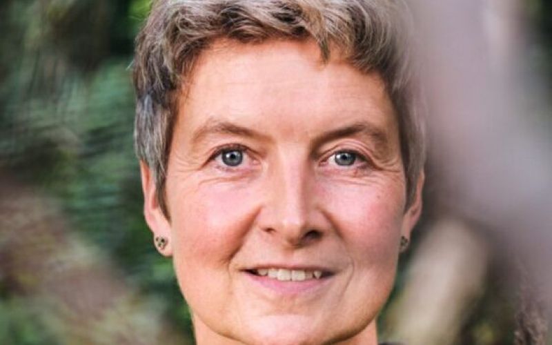 Hohe Waldbrandgefahr auch in Herbede