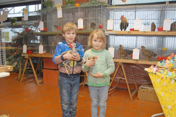 Rassegeflügelzuchtverein Herbede hat ausgestellt