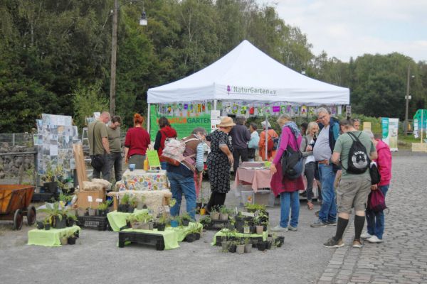 Auf Nachtigall war wieder Ökomarkt