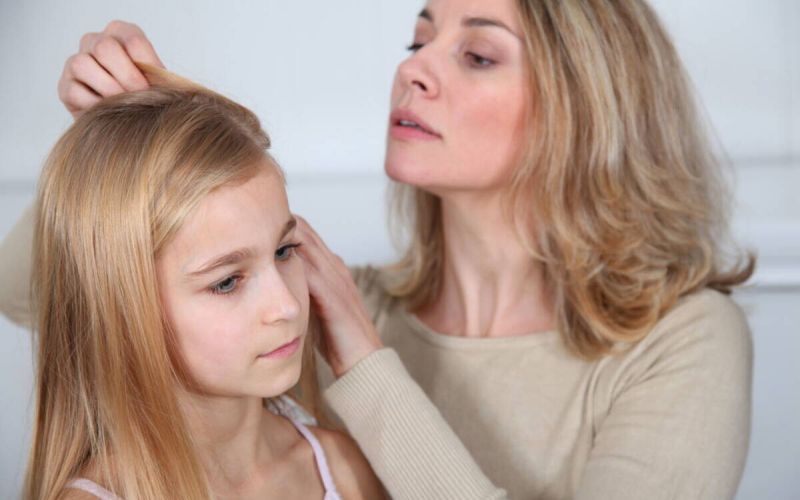 Läusebefall im Ennepe-Ruhr-Kreis nimmt zu