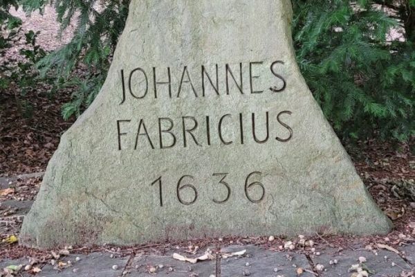 Der Fabricius-Stein