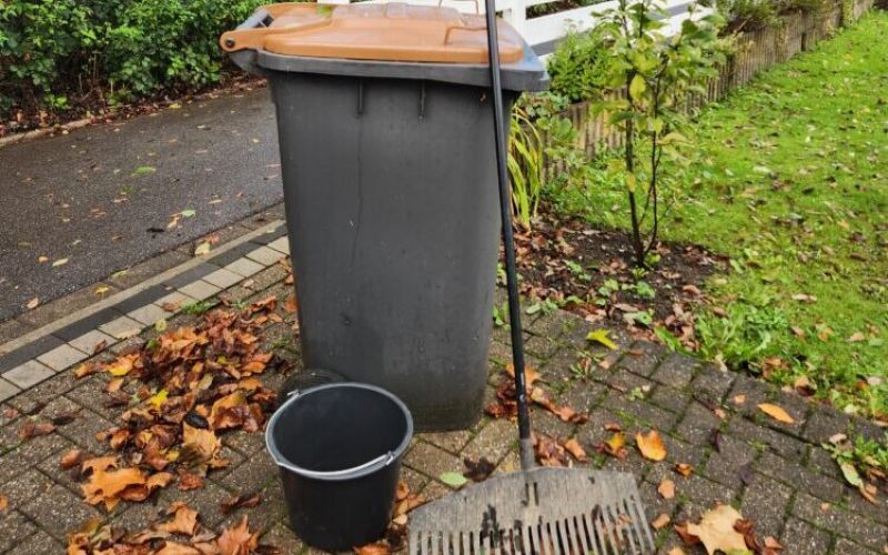 Tipps für die Laubentsorgung