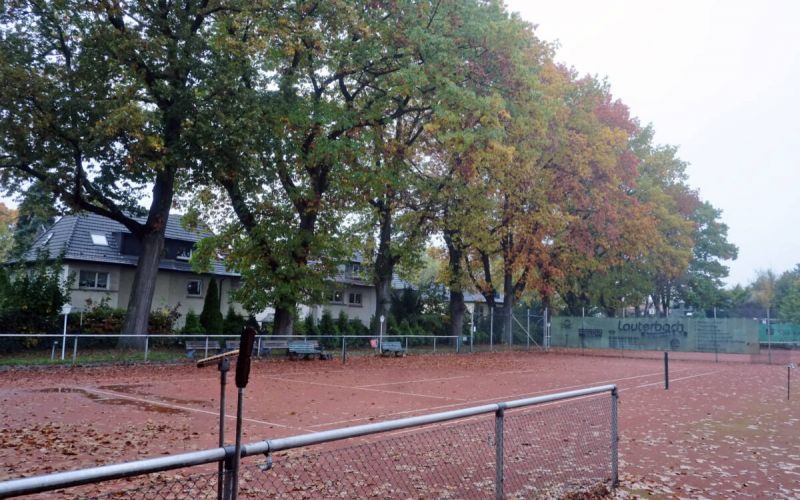 TC Bommern hadert mit Baumbestand - Jedes Jahr zehntausend Euro für die Pflege